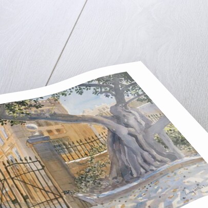 The Ancient Tree, 2011 by Lucy Willis