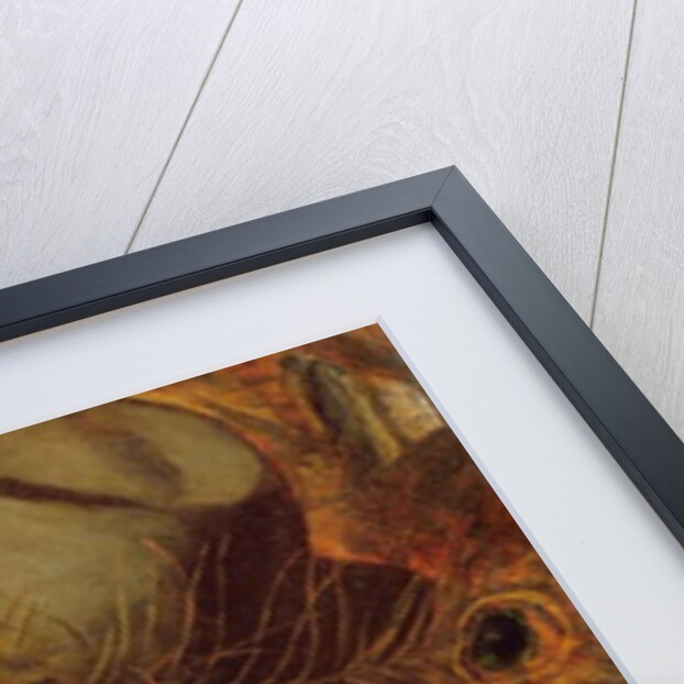 The Dead Mallard by William Holman Hunt