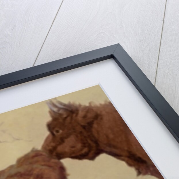 Studies of Highland Cattle by Richard Ansdell