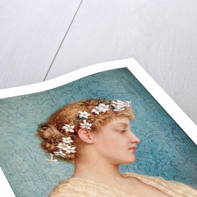 Stephanotis by Agnes Nicholl