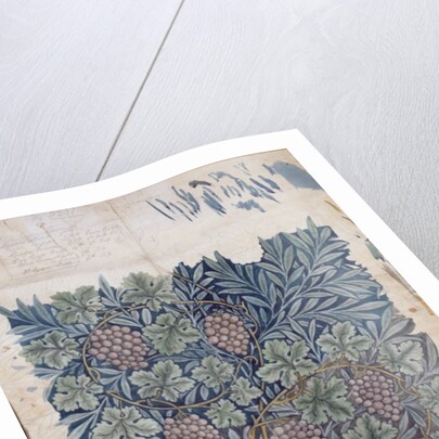 Leaf and Grape design for 'Vine' wallpaper by William Morris