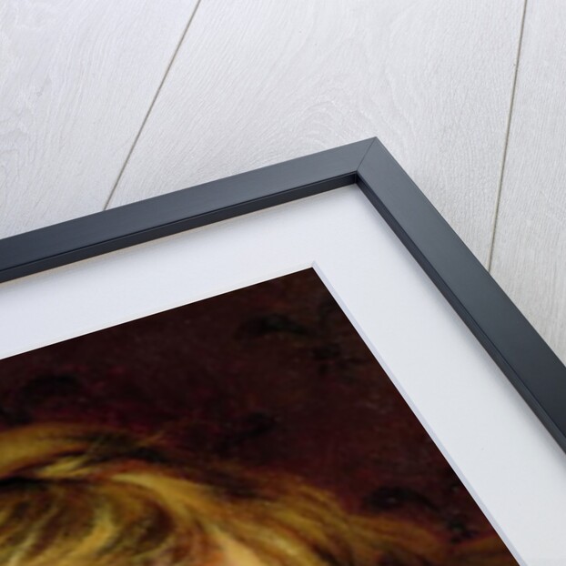 The Turtle Dove by Sophie Anderson