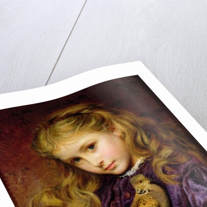 The Turtle Dove by Sophie Anderson