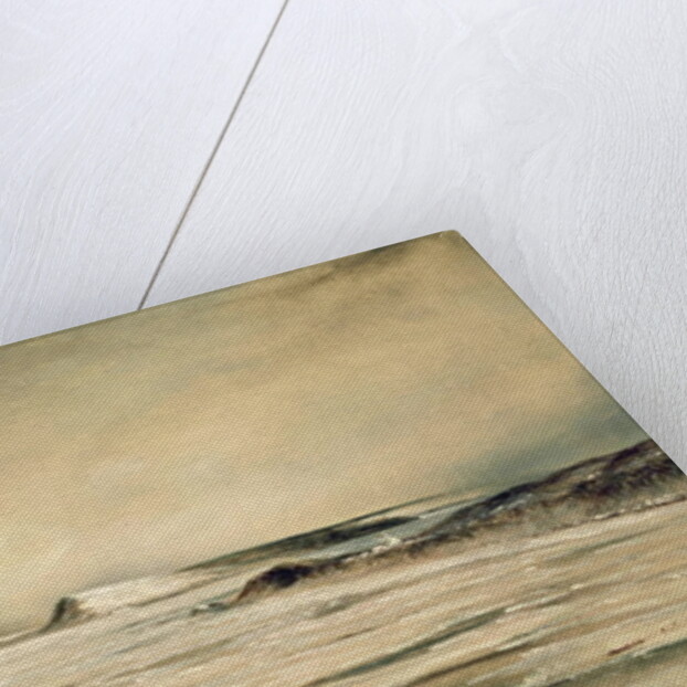 The Saint Lawrence from Quebec, 1847 by Canadian School