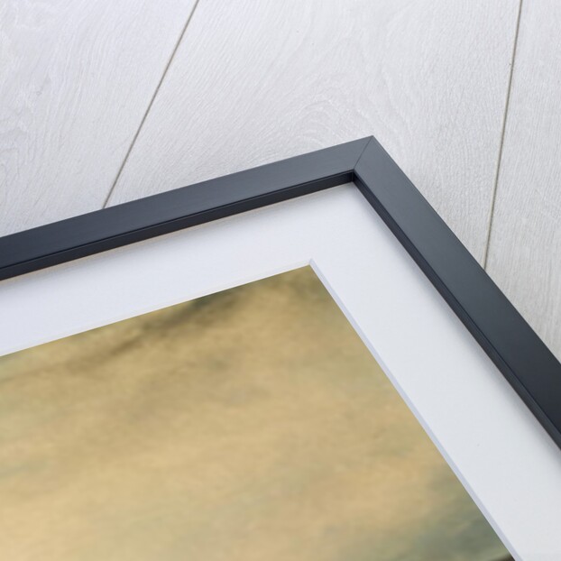 The Saint Lawrence from Quebec, 1847 by Canadian School