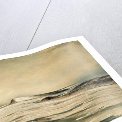 The Saint Lawrence from Quebec, 1847 by Canadian School