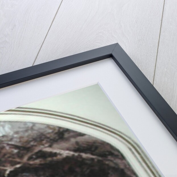 Wounded Faun by John Anster Fitzgerald