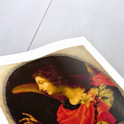 Annunciate Angel by Cesare Dandini