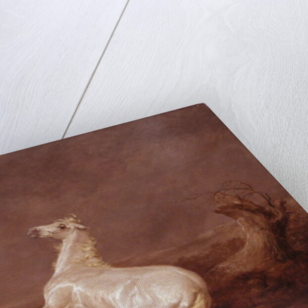 Mad Horse by Sawrey Gilpin