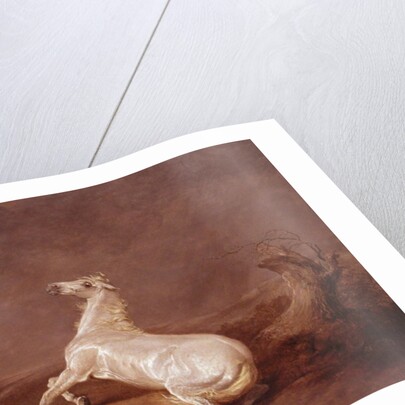 Mad Horse by Sawrey Gilpin