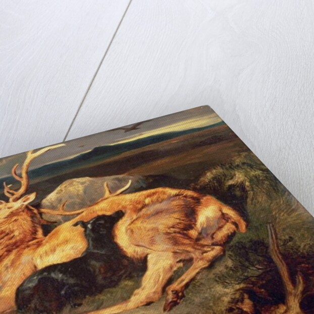 Stag by Edwin Landseer