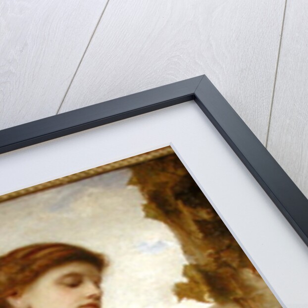 The Pet Pigeon, 1886 by Gustave Pope