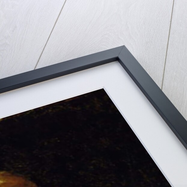 Reading by Alexander Johnston