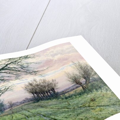 A Fenland Lane with Pollarded Willows, 1887 by William Fraser Garden