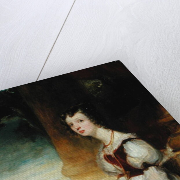 Portrait of a Lady by George Clint