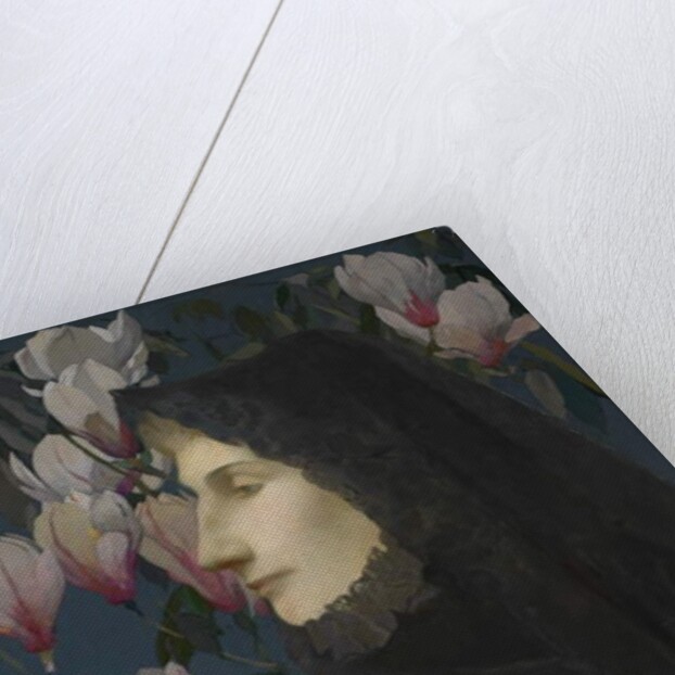 Lady Paget by James Kerr-Lawson