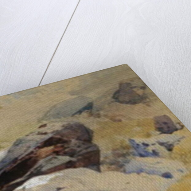 A Rocky Stream in Scotland by Thomas Miles II Richardson