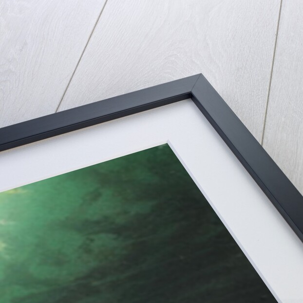 Low Tide by Moonlight, 1874 by William Henry James Boot