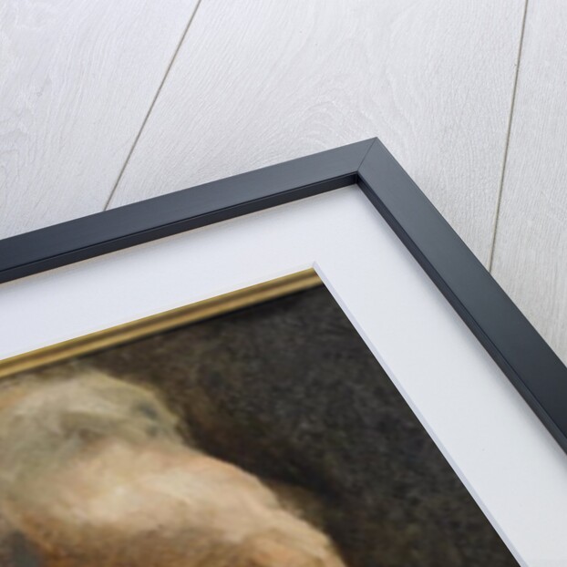 Head of a Man by English School