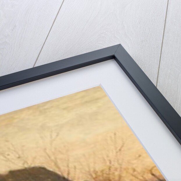 Sketch from Nature by George Heming Mason