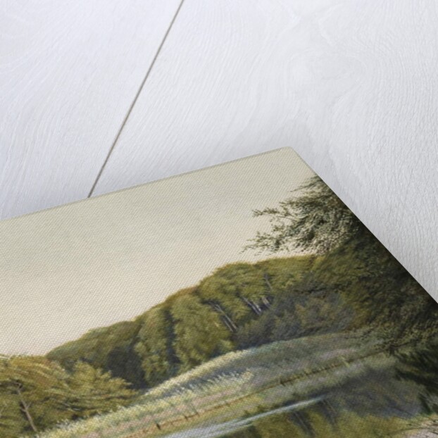 Swans on Paddington Pond, 1860s by Constance Phillott