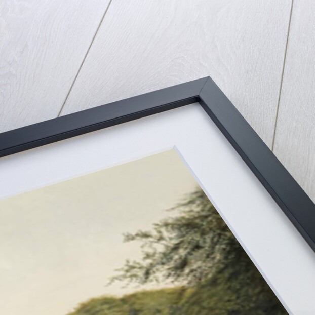 Swans on Paddington Pond, 1860s by Constance Phillott