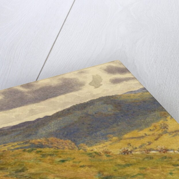 Valley of the Teme, a Sunny November Morning, 1960 by George Price Boyce