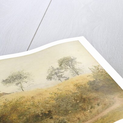 The Bat Begins with Giddy Wing - Barley Field Over the Hedge, 1885 by John William North