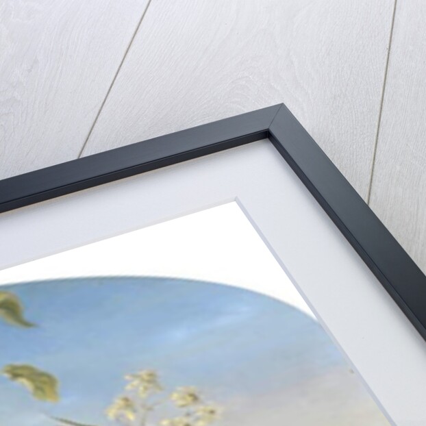 An Autumn Hedgerow near Carisbrooke, 1864 by Frances Mary Minns