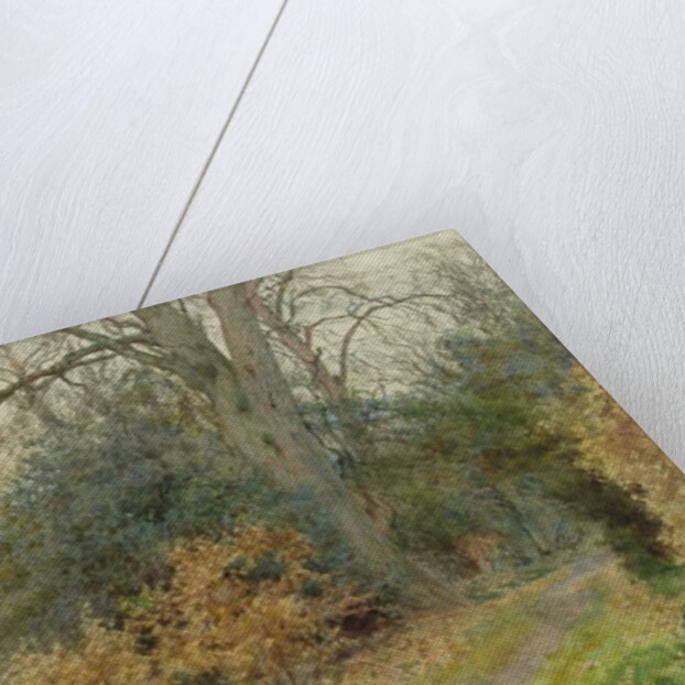 Path Through the Wood, 1902 by Wilmot R.W.S. Pilsbury