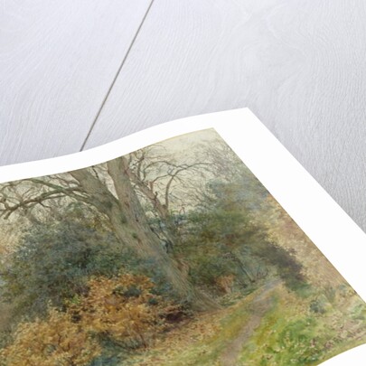 Path Through the Wood, 1902 by Wilmot R.W.S. Pilsbury