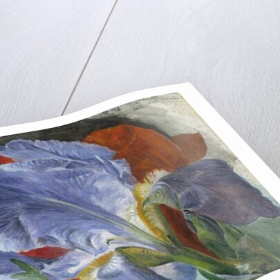 A Study of Flowers by Emily Stannard