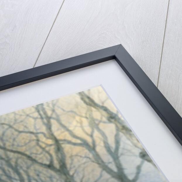 Fairies and Squirrels, c.1870 by Richard Doyle