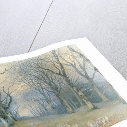 Fairies and Squirrels, c.1870 by Richard Doyle