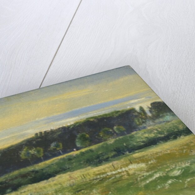 The Common, June, 1871 by John William Inchbold