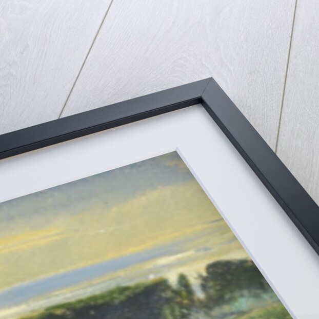 The Common, June, 1871 by John William Inchbold