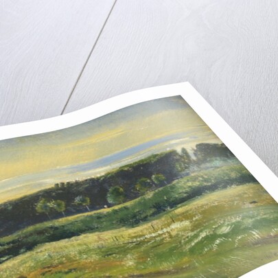 The Common, June, 1871 by John William Inchbold