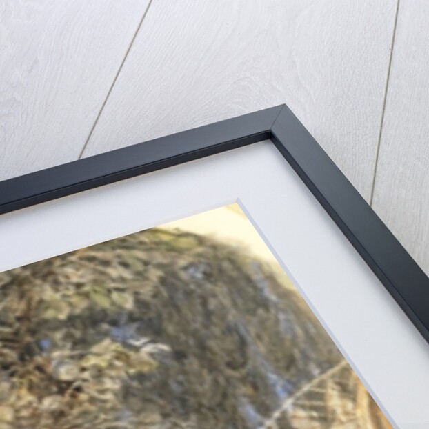 Lady in Mediaeval Dress, c.1859 by John Brett