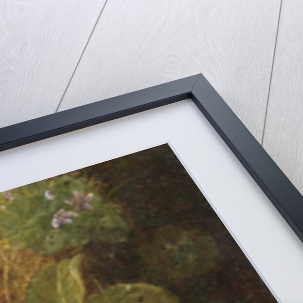 Primroses and Bird's Nests on a Mossy Bank, 1882 by Oliver Clare