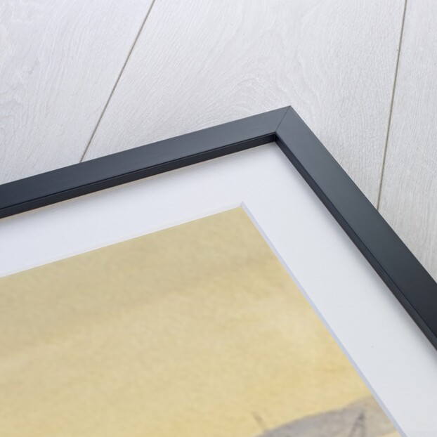 Sunset, Constantinople by M. Baillie Hamilton