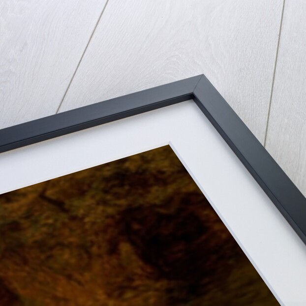 Una and the Lion by Briton Riviere