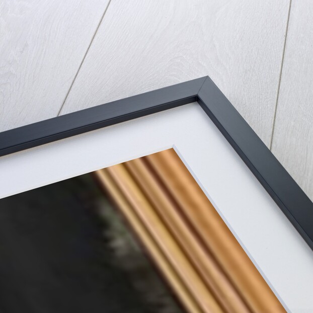 Ready for a Ride, or The Fair Equestrienne by George Henry Boughton