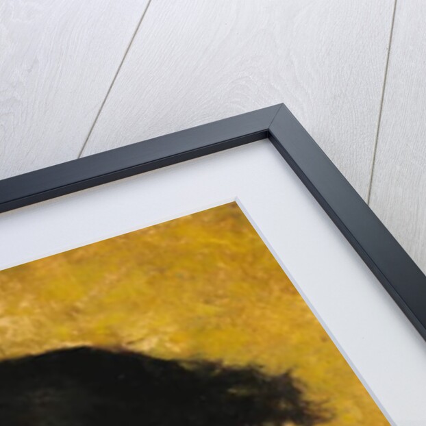 Rosina, 1879 by Charles Daux