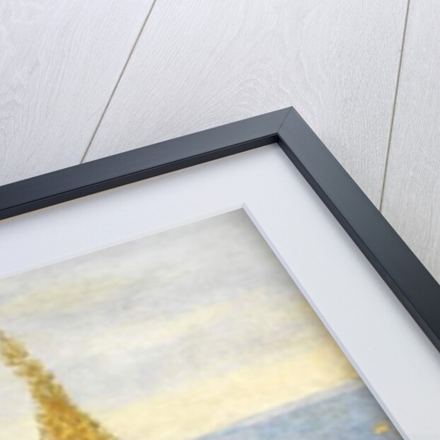 Roses, Asphodel, and Cypress - Algeria by John William North