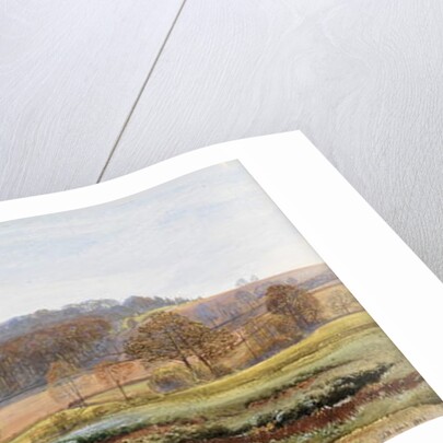 Springtime near Norbury, 1861 by John Brett