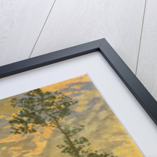 Two is Company and Three is None by Edward Louis Lawrenson