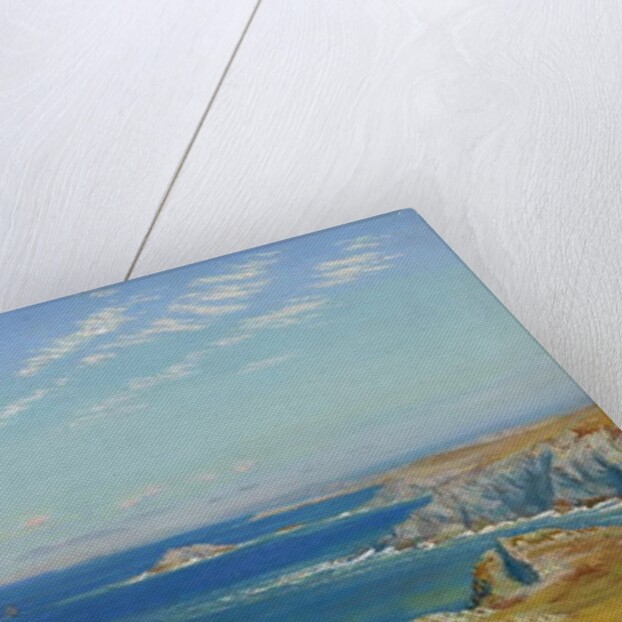 Newquay Headland, Cornwall by Arthur Hughes