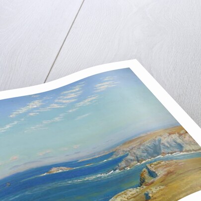 Newquay Headland, Cornwall by Arthur Hughes
