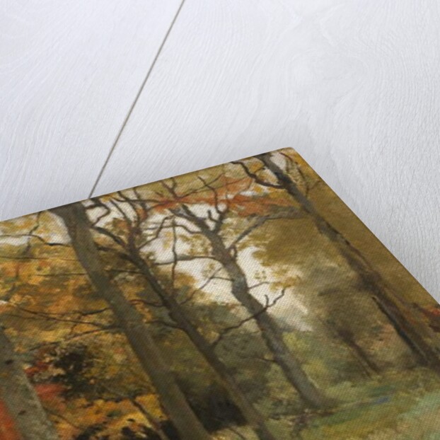 Autumn Leaves by Cyrus Johnson