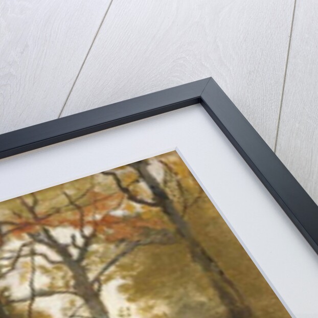 Autumn Leaves by Cyrus Johnson